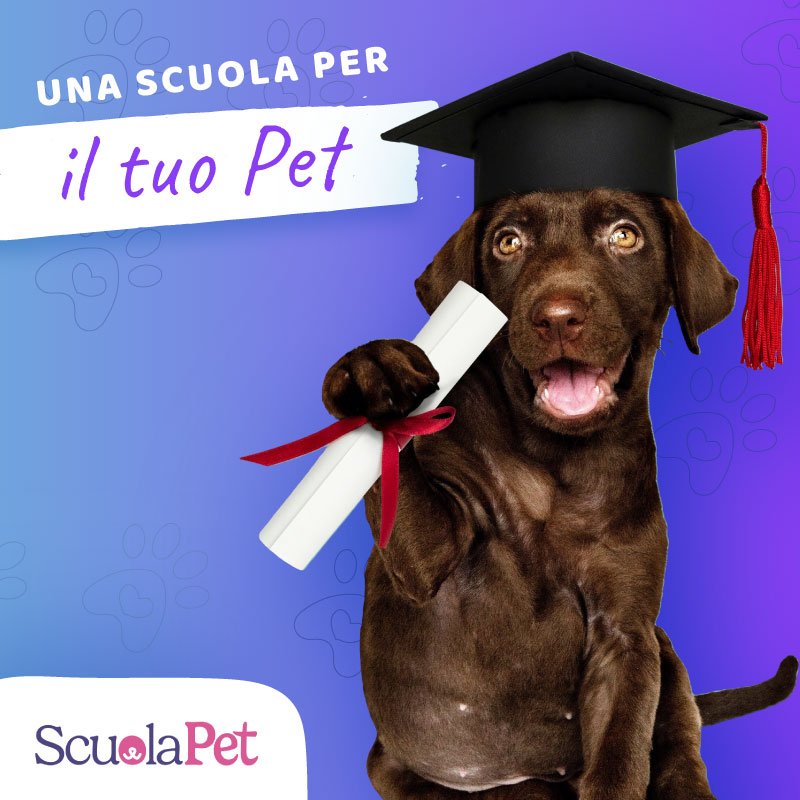 La prima scuola per il tuo Pet: ScuolaPet!